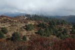 gallery_079.jpg