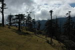 gallery_080.jpg