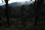 gallery_077.jpg