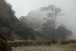 gallery_081.jpg