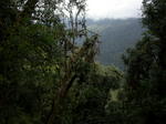 gallery_092.jpg