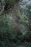 gallery_094.jpg