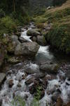 gallery_095.jpg