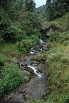 gallery_098.jpg