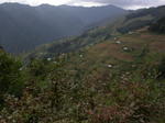 gallery_099.jpg