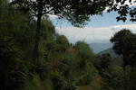 gallery_100.jpg