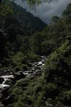 gallery_103.jpg