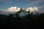 gallery_111.jpg