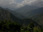 gallery_194.jpg