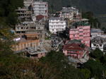 gallery_184.jpg