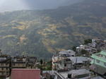 gallery_213.jpg