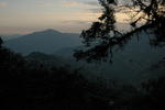 gallery_216.jpg