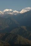 gallery_165.jpg