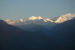 gallery_159.jpg