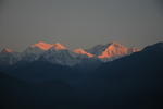 gallery_180.jpg