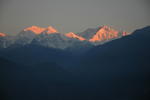 gallery_181.jpg
