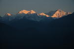 gallery_183.jpg