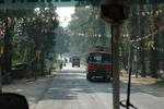 gallery_395.jpg