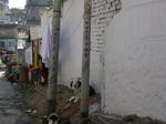 gallery_348.jpg