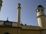 gallery_347.jpg