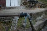 gallery_203.jpg