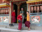gallery_339.jpg