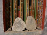 gallery_335.jpg