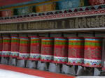 gallery_309.jpg