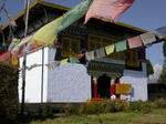 gallery_168.jpg