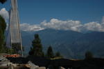 gallery_174.jpg