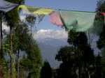 gallery_167.jpg