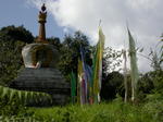 gallery_176.jpg