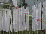 gallery_198.jpg