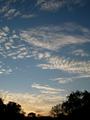 1DSCN4007.jpg
