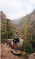 Grandcanyon.jpg