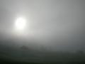 DSCN5330.jpg