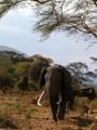 Tanzania '02