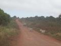 DSCN3815.jpg