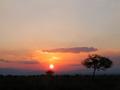 DSCN4307.jpg