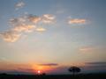 DSCN4308.jpg
