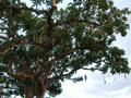 DSCN4310.jpg