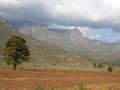 DSCN3950.jpg