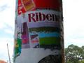 DSCN3364.jpg