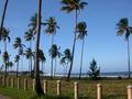 DSCN3370.jpg