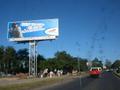 DSCN3783.jpg