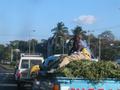 DSCN3784.jpg