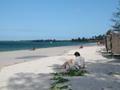 DSCN3772.jpg