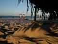 DSCN3779.jpg