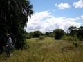 DSCN3430.jpg