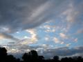 DSCN3442.jpg